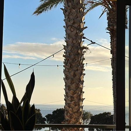 Apartamentos Amarelo كانيسال المظهر الخارجي الصورة